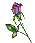 Weird Rose